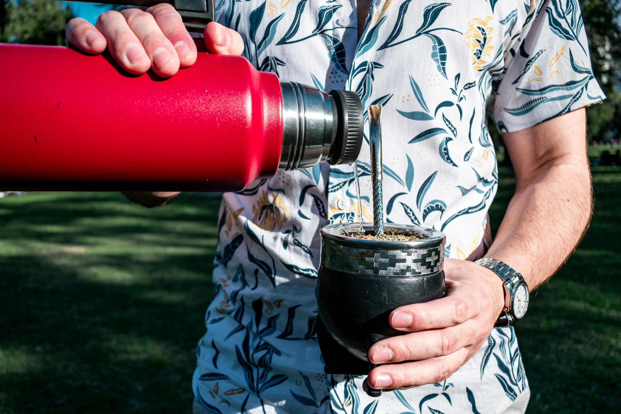 Czym jest yerba mate